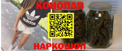 шишки Волгодонск
