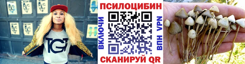 Галлюциногенные грибы мицелий  магазин продажи   Новороссийск 