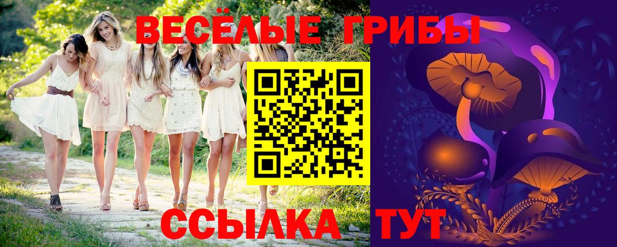 Псилоцибиновые грибы MAGIC MUSHROOMS  Псилоцибиновые грибы Psilocybine cubensis  Вход с VPN  Новороссийск 